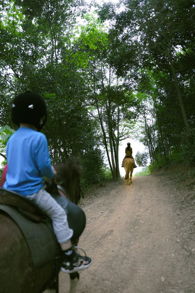 Children riding horses through a lush forest pathway in daylight.